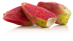 Eminence_Organics_Summer24_Prickly_Pear_Fruit_Multiple_Sliced