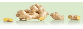 KMBC_Key_Ingredients_Ginger_RGB KMBC_Key_Ingredients_Ginger_RGB