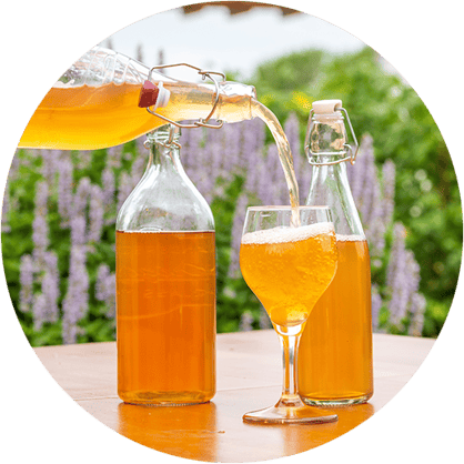 Kombucha icon