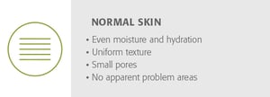 Normal Skin Type