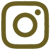 instagram-icon-685C20